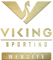 viking-sorting-link